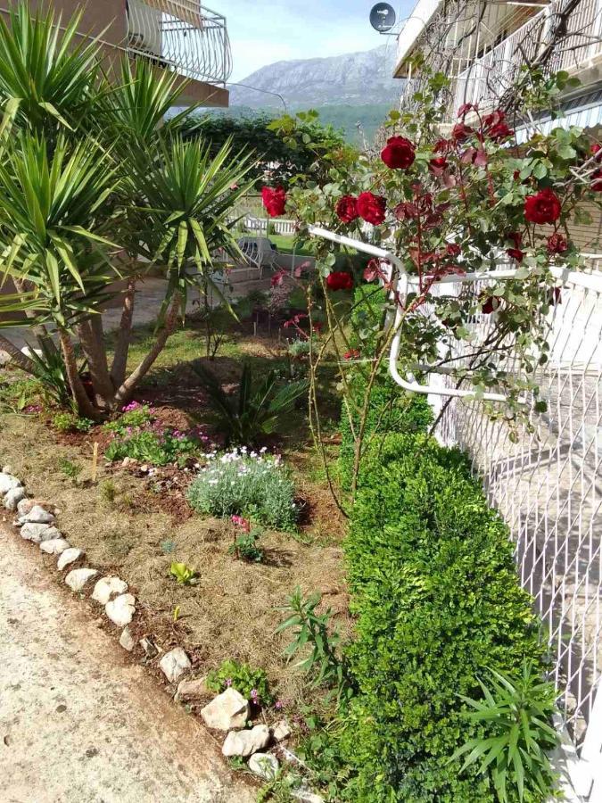 Guesthouse Djurisic Herceg Novi Ngoại thất bức ảnh